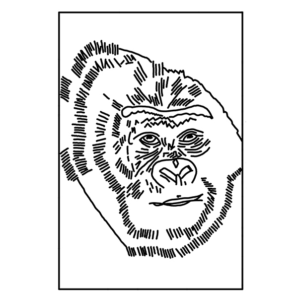 https://www.michelemicarelli.com/wp-content/uploads/2018/11/Gorilla-Rug-Hooking-Pattern.jpg