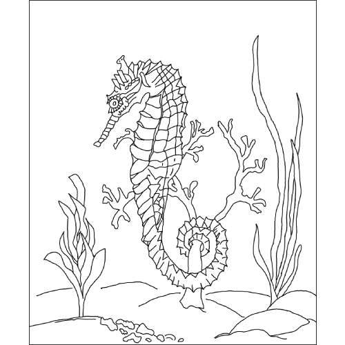 Michele Micarelli Seahorse Rug Hooking Pattern