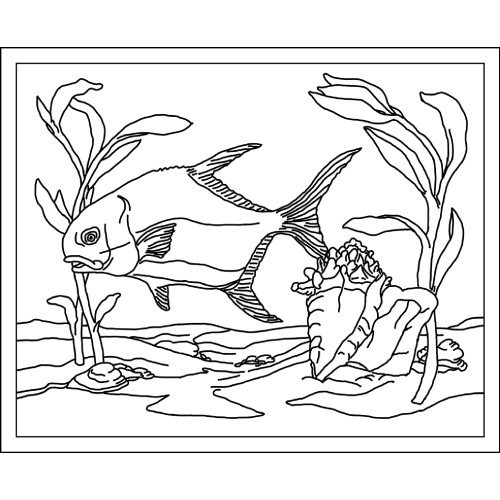 Permit Fish Rug Hooking Pattern 26x32