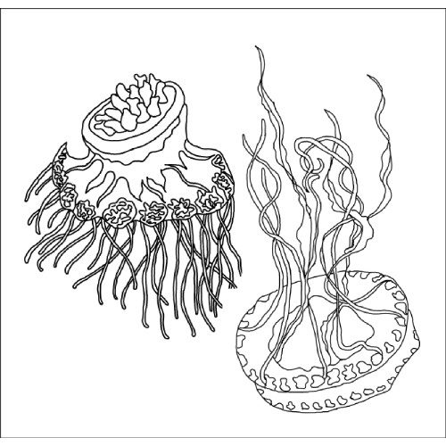 Jelly Fish Rug Hooking Pattern 36x60