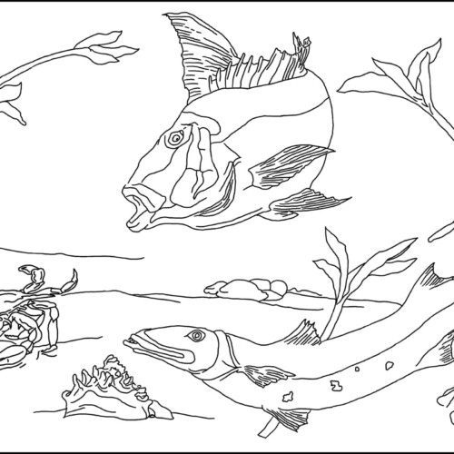 Under the Sea Rug Hooking Pattern 25x38