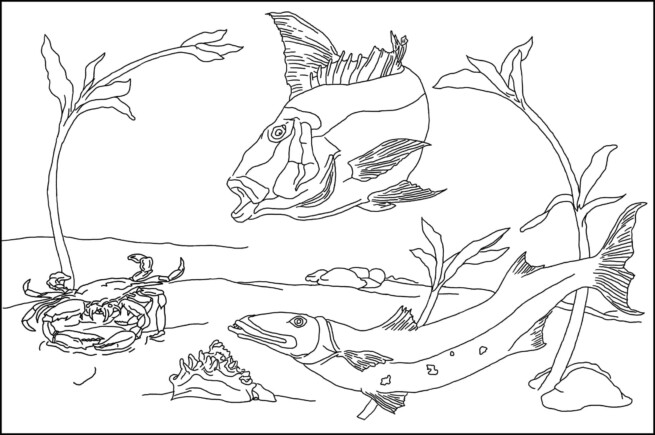 Under the Sea Rug Hooking Pattern 25x38