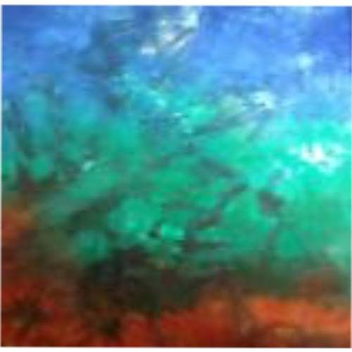 Columbus Trans-color hand dyed Dorr wool