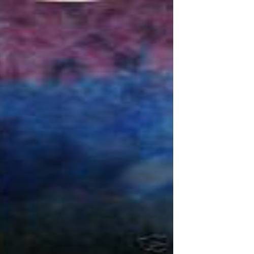 Grape Crush Trans-color hand dyed Dorr wool