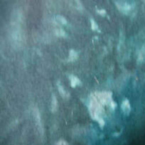 Hosta Blue Spot hand dyed Dorr wool