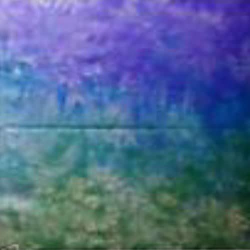 Mystic Trans-color hand dyed Dorr wool