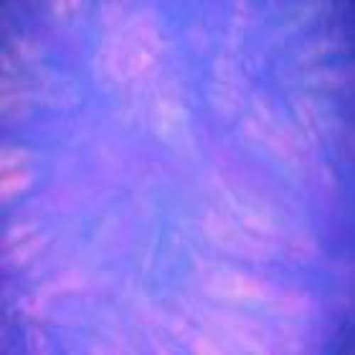 Neon Purple Spot hand dyed Dorr wool