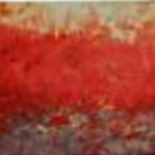 Paisley Trans-color hand dyed Dorr wool