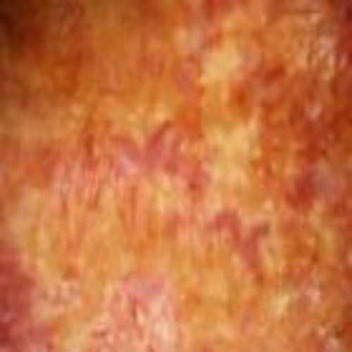 Pumpkin Spot hand dyed Dorr wool