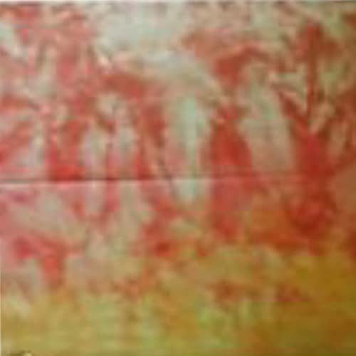 Pumpkin Trans-color hand dyed Dorr wool