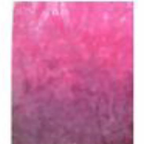 Raspberry Sorbet 3 Trans-color hand dyed Dorr wool