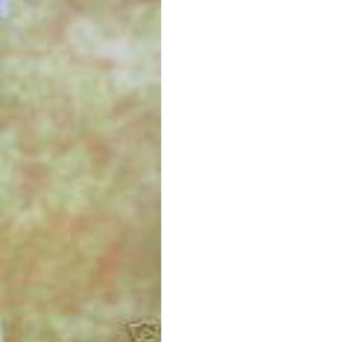 Taffy Spot hand dyed Dorr wool