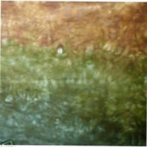 Turning Leaf Trans-color hand dyed Dorr wool